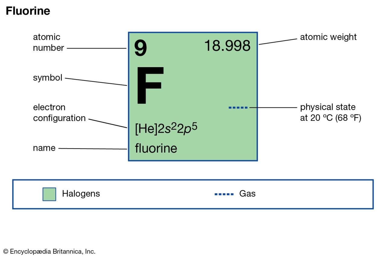 Why Does Fluorine Attract Electrons With Such Power?