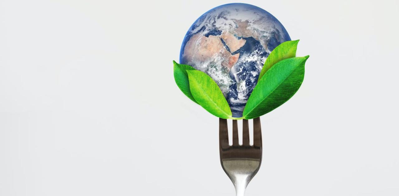 Which Diet Will Help Save Our Planet: Climatarian, Flexitarian, Vegetarian  Or Vegan?