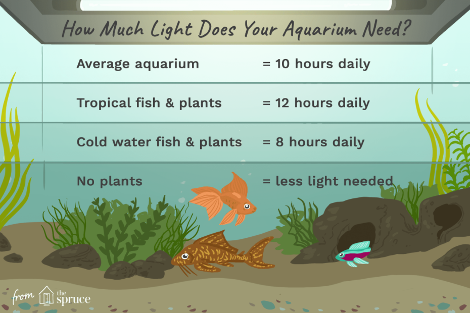 Adjust Aquarium Lighting To Support Plants And Fish