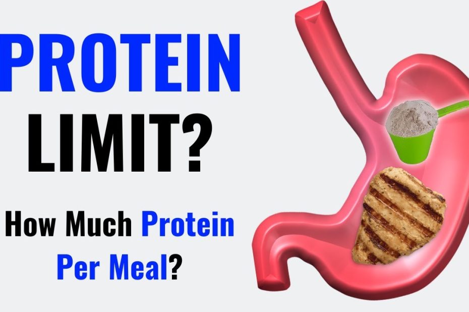 Protein Limit | Can You Only Absorb 30G? (Science-Based Explanation) -  Youtube