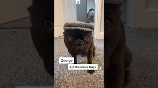 2-3 Business Days - Youtube
