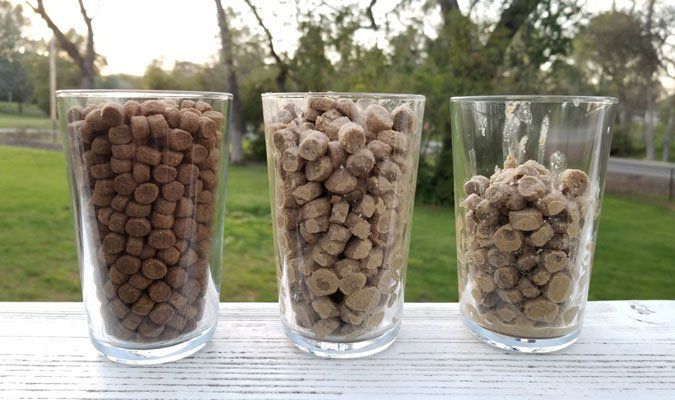 Soaking Dry Dog Food In Water - Whole Dog Journal