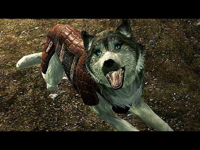 Where To Find The Husky Dogs Followers (In Fort Dawnguard) - Skyrim  Dawnguard Dlc - Youtube