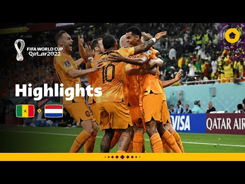 Late Dutch DRAMA in Group A clash | Senegal v Netherlands highlights | FIFA World Cup Qatar 2022