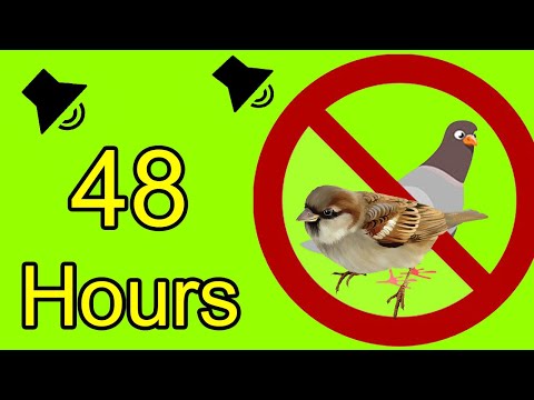 Anti Birds Repellent Sound - calls of birds of prey to scare off pigeons -  sparrows - seagull