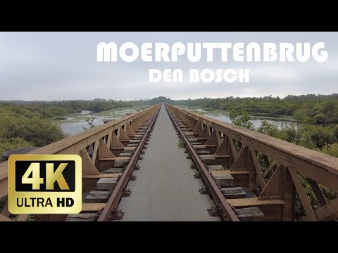 Moerputtenbrug, Den Bosch || Zomer 2021|| 4K