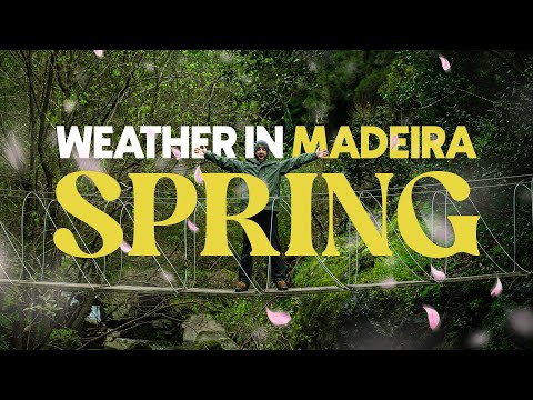 How's the WEATHER in MADEIRA during SPRING!? (2023 Edition)